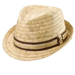 Men's Dorfman-Pacific Aruba Fedora