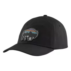 Men's Patagonia Back For Good Trad Snapback Hat